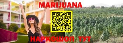 сатива Кимры