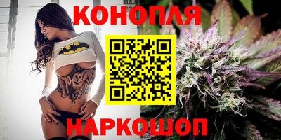 сатива Кимры