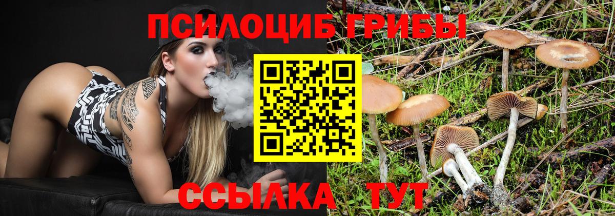 Кингисепп  как найти закладки  Вход с VPN  Галлюциногенные грибы Magic Shrooms 