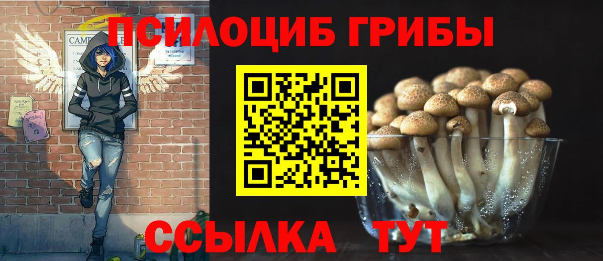 Псилоцибиновые грибы мухоморы Кингисепп